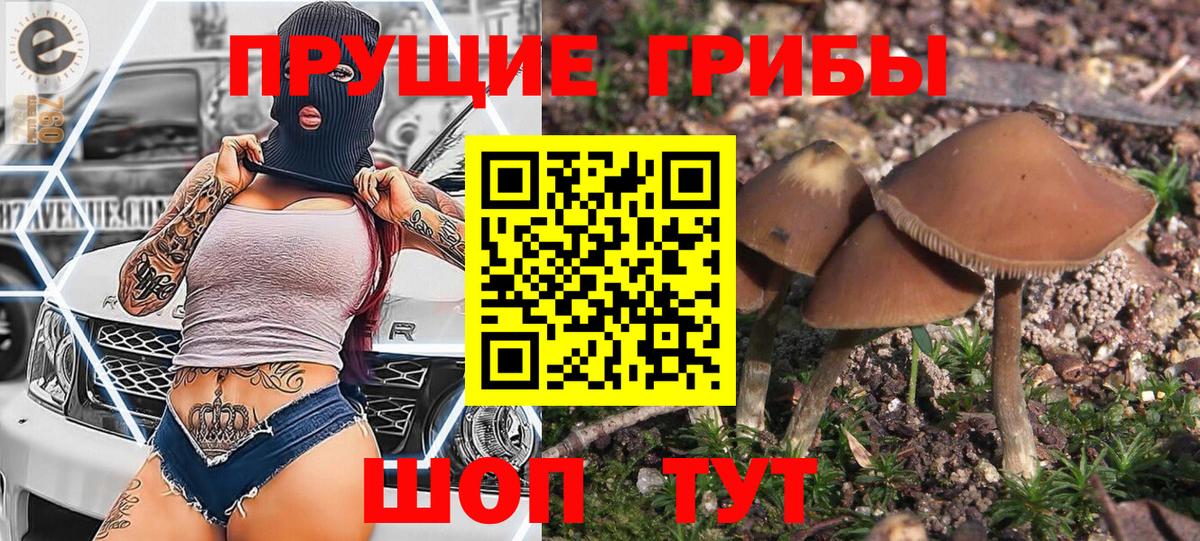 Псилоцибиновые грибы мицелий  Псилоцибиновые грибы мухоморы  Вход с VPN  Абакан 